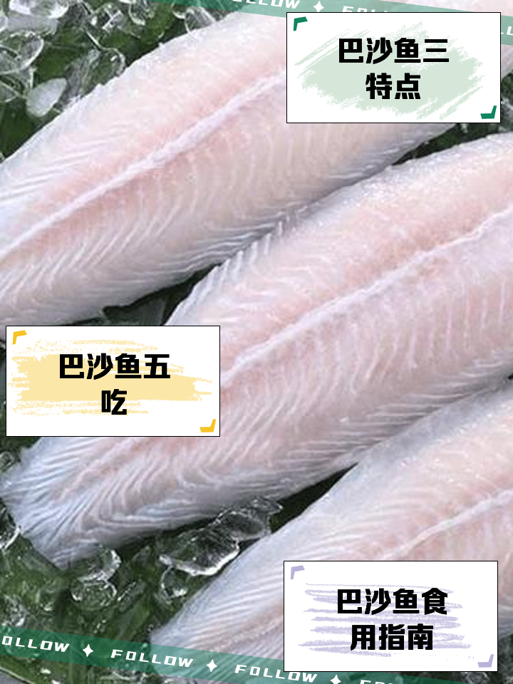 湄公鱼的介绍