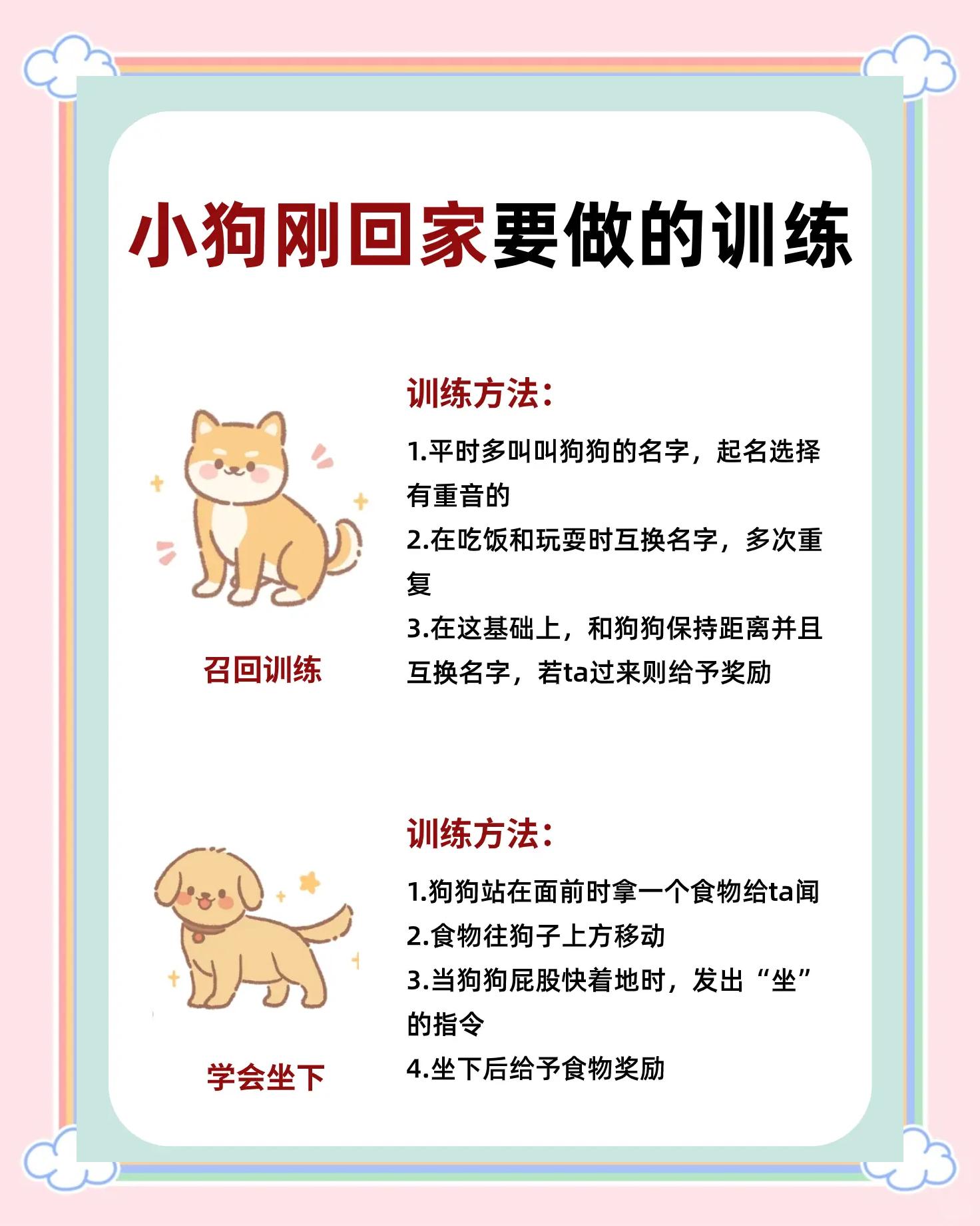 如何训练狗狗